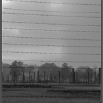 AUSCHWITZ II Birkenau